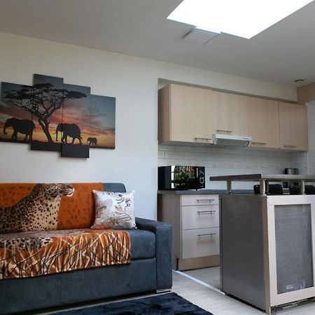 La Maison Safari A Melun - Confort & Lumineuse Apartment ภายนอก รูปภาพ