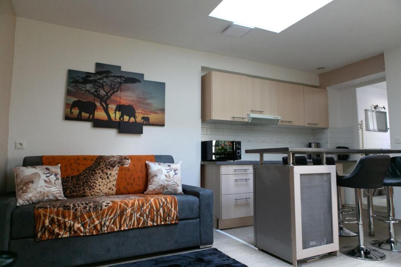 La Maison Safari A Melun - Confort & Lumineuse Apartment ภายนอก รูปภาพ